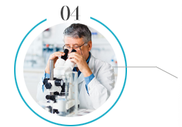 浙江旭日纖維有限公司主要生產(chǎn)和銷售浙江旭日纖維有限公司，丙綸超細旦絲，丙綸FDY絲，丙綸彈力絲，玉米纖維，中分子PE絲，冰絲，玉米纖維FDY